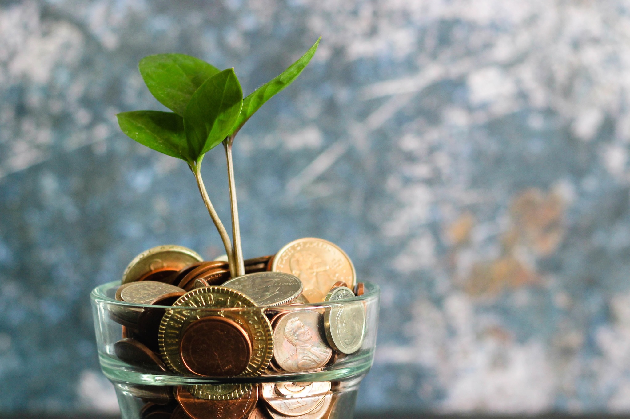 Чому в Ш++ навчають безкоштовно?